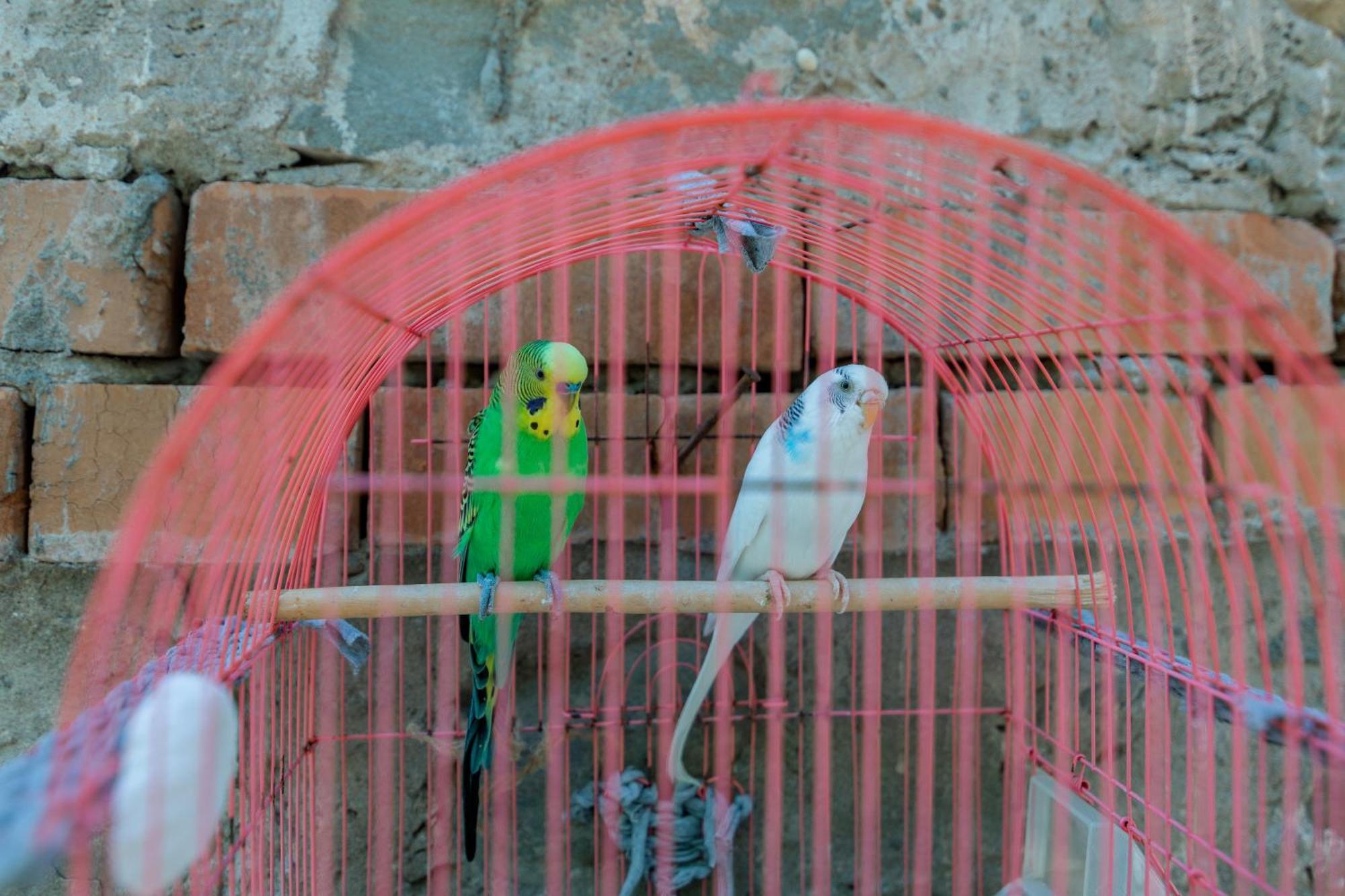 Mariana Appartement Gori Buitenkant foto